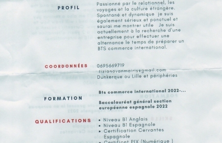 RECHERCHE STAGE EN ALTERNANCE (BTS Commerce International)